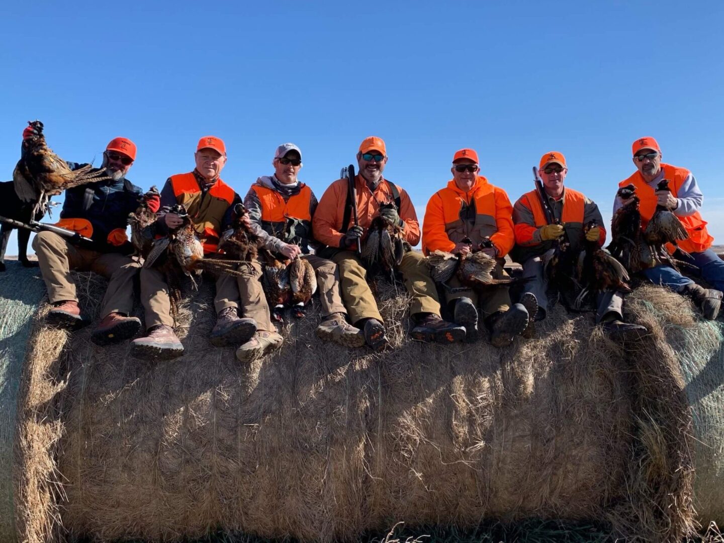 group of men sitting with their hunted pheasants