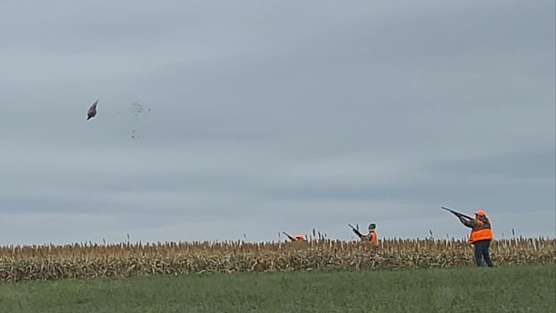 men hunting pheasants