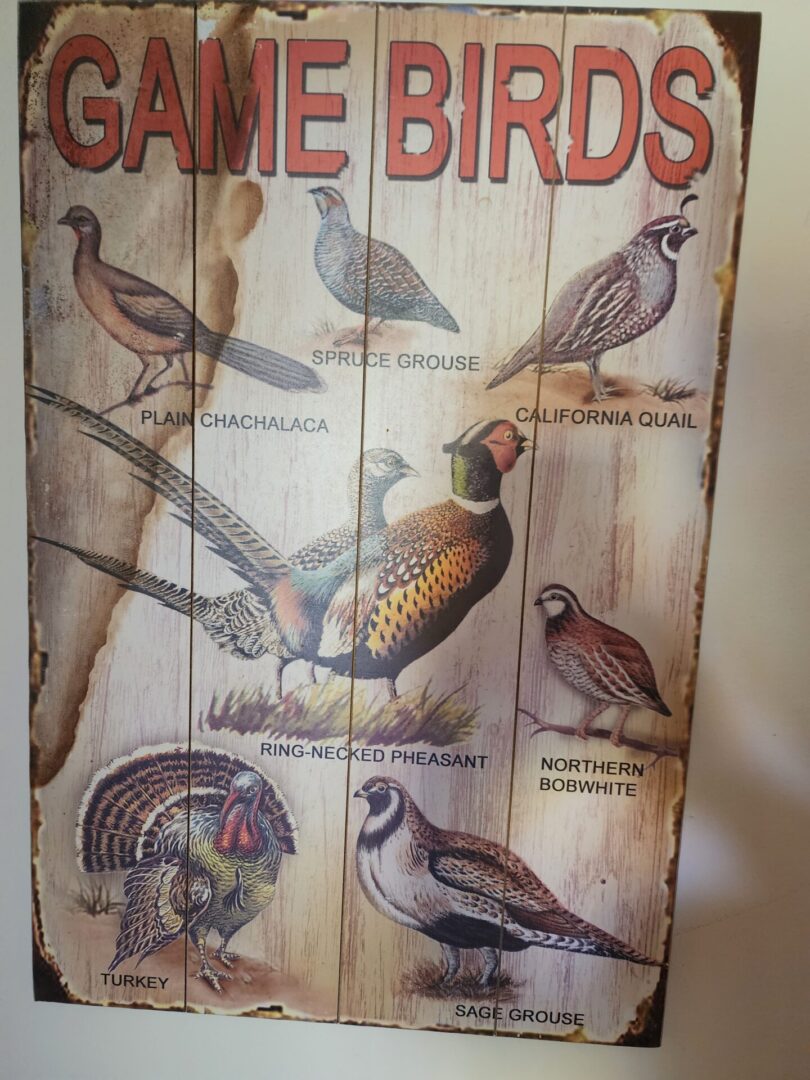 Pictures Of Game Birds With Names