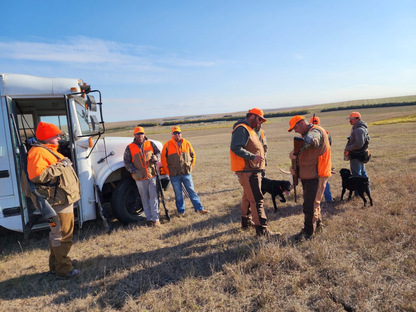 Hunters Team With Dogs at Field