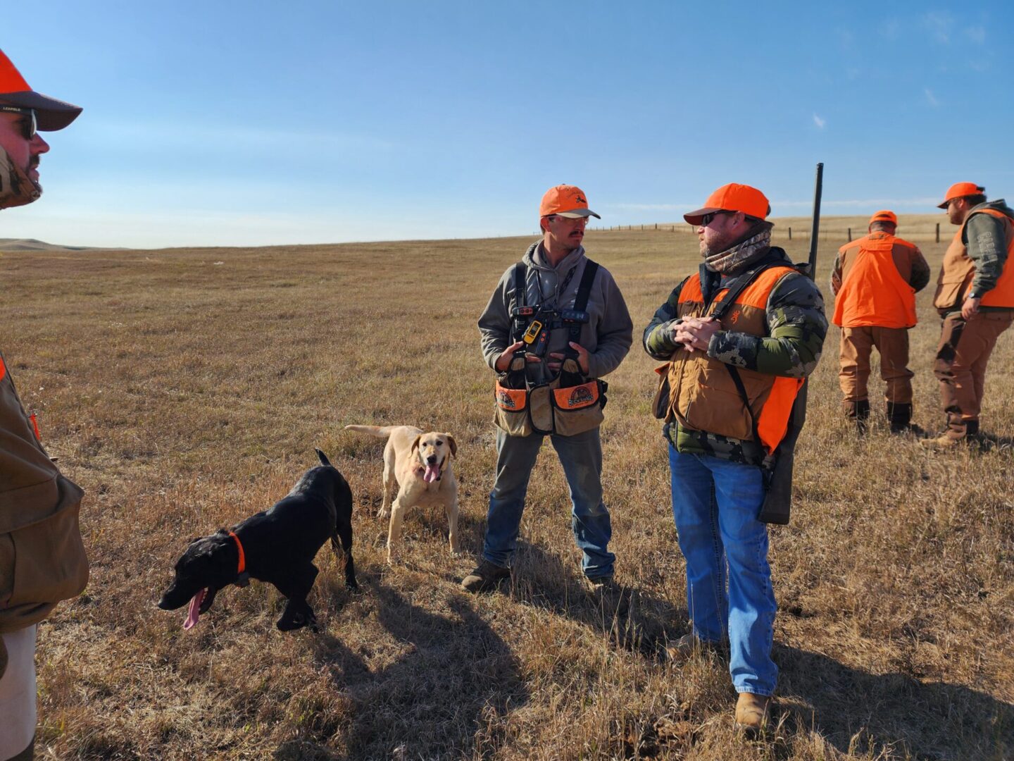 Hunters with Dogs in the Field