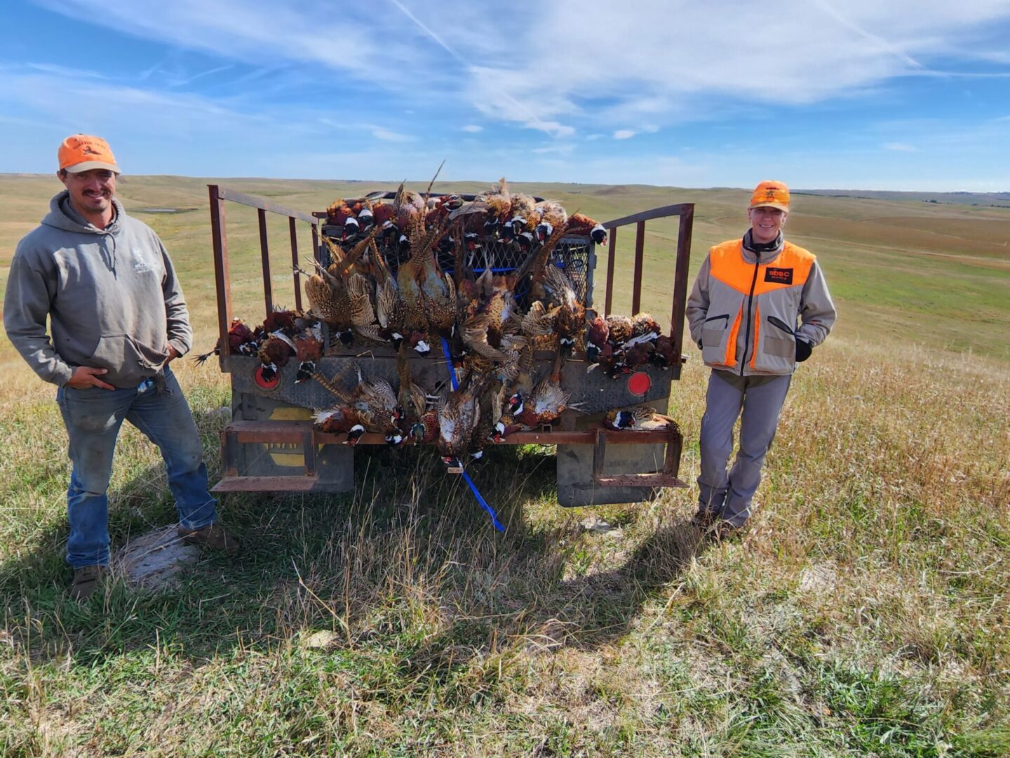 Birds On The Hunting Truck on Field