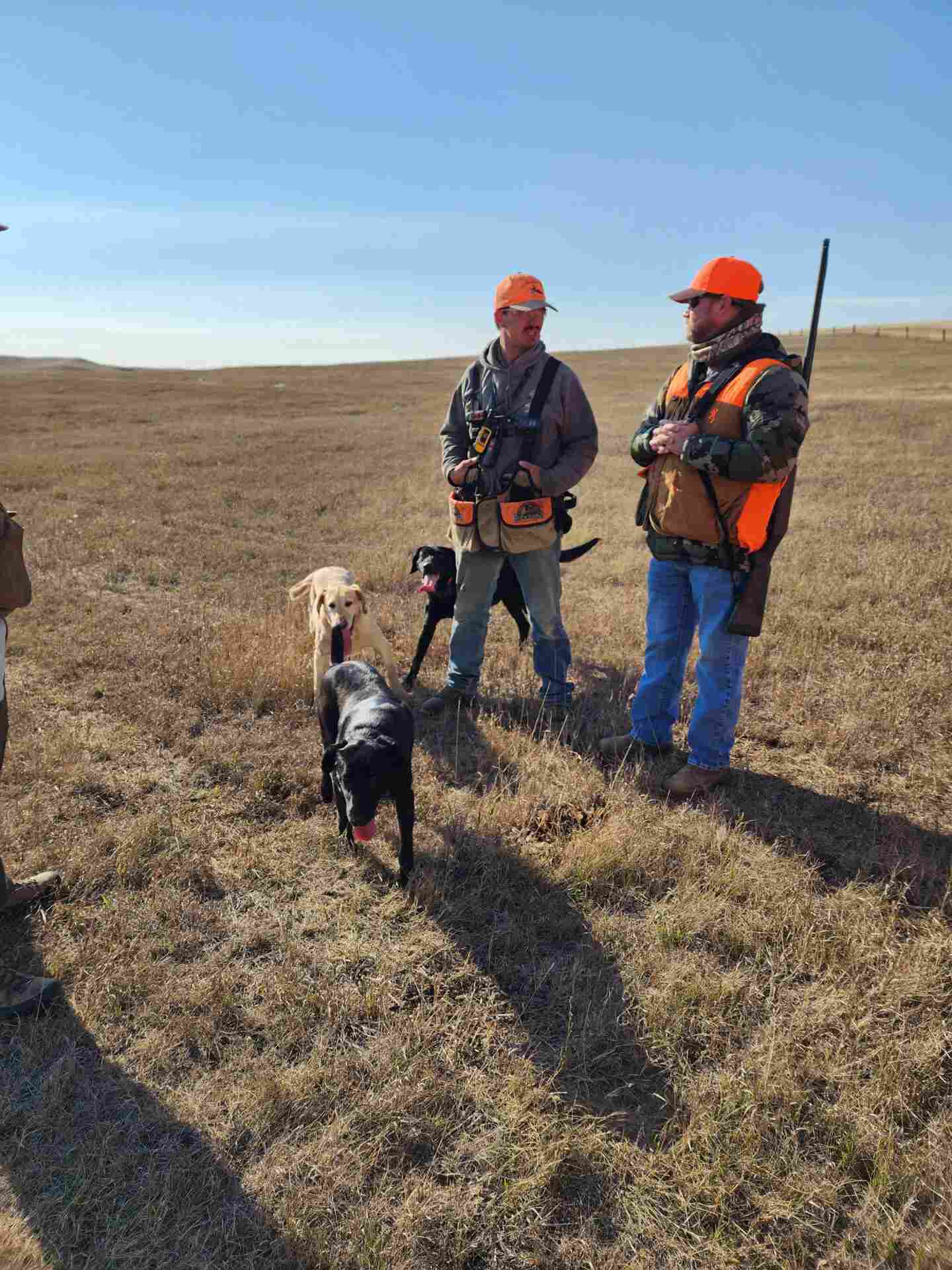 two people with three dogs and guns